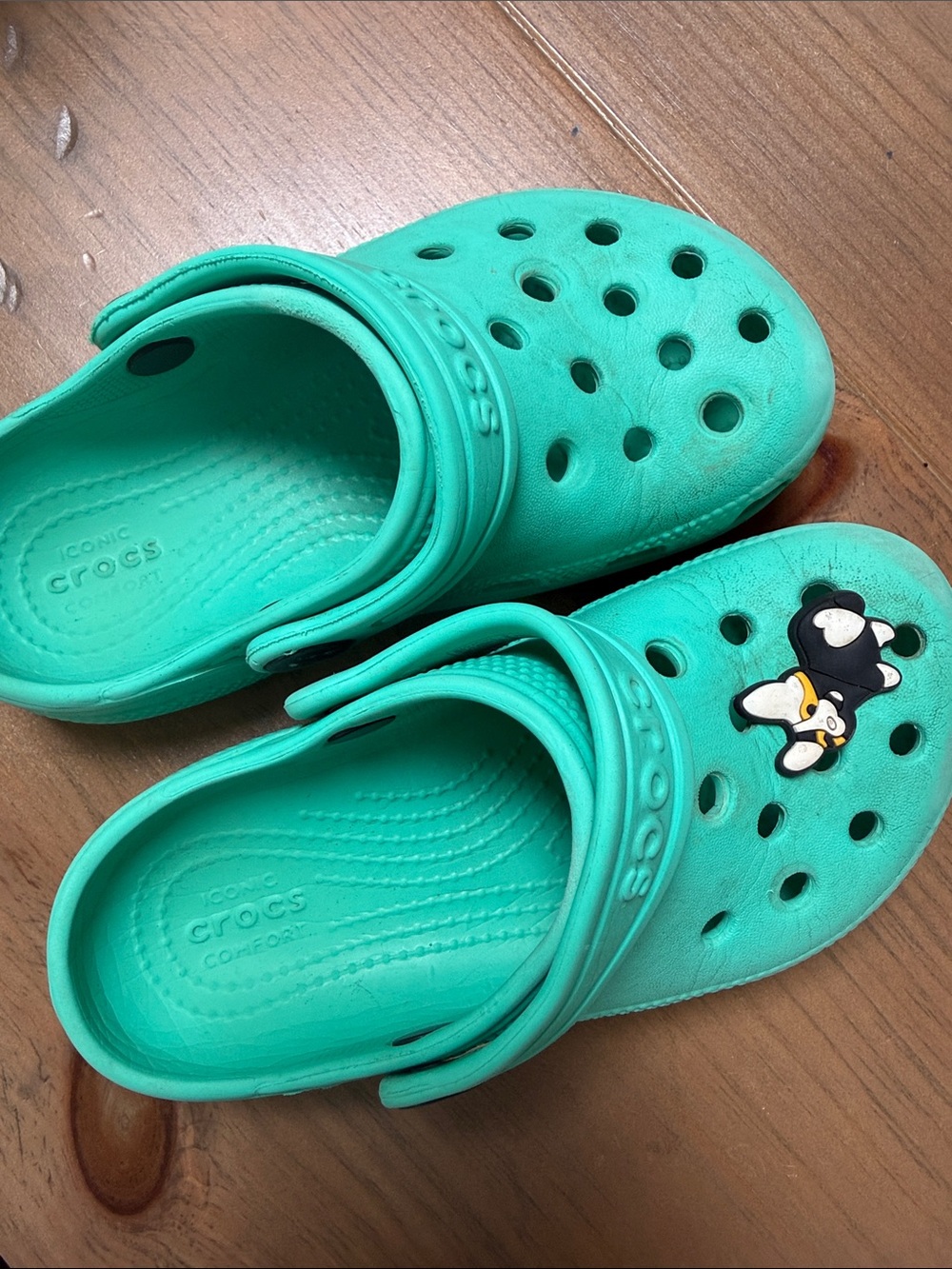 CROCS Kids Teal Green